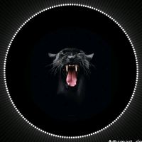 lionnoir2262