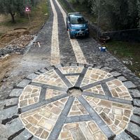 mucosaliaj