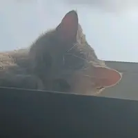 user217877316