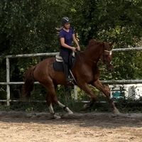 angelinaaen