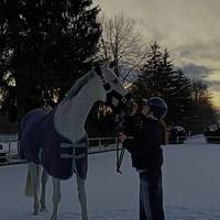 show.jumping.k.i
