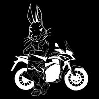 funnyrabbitadventures