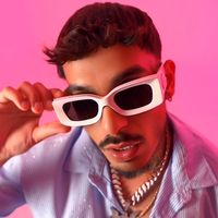 avefenix_music