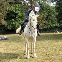 violet.equine