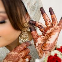 zainab_ox6