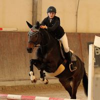 equiandyy