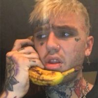 pollo_dio5