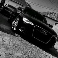 titoker499