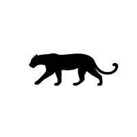 panthercase