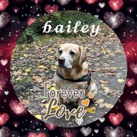 baileysmum2018