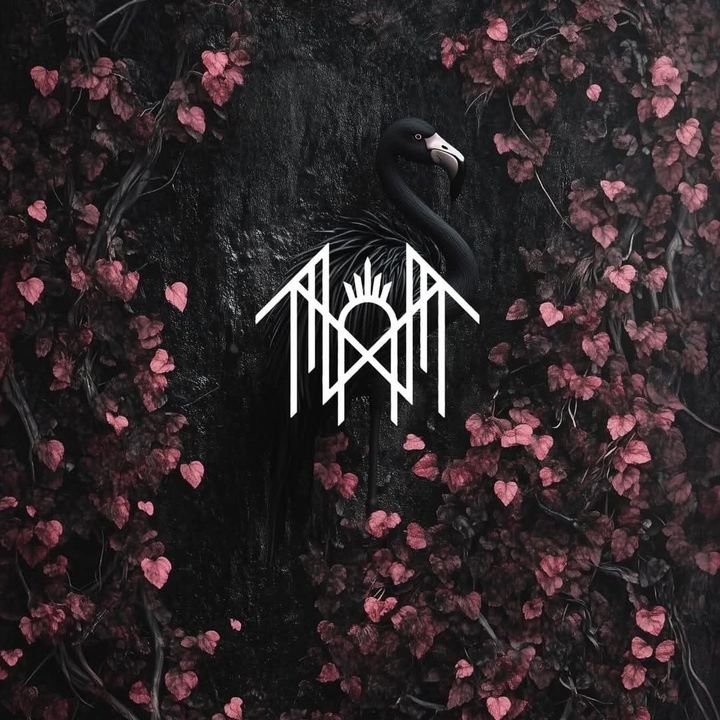 𝐬𝐥𝐞𝐞𝐩 𝐭𝐨𝐤𝐞𝐧 - Originalton