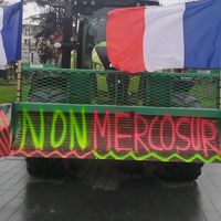 enzo_agri_61