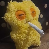 shyjustice