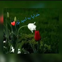 zohra_1233