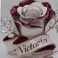 tiktok.toria777