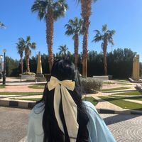 _sabeela