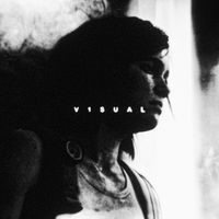 v1sual.aep