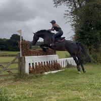 tegen_lyne23