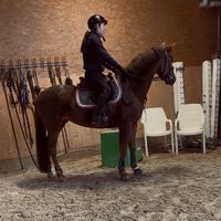 equestrian.34