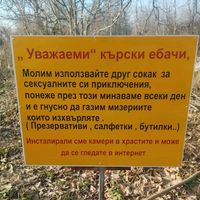 bulgarian_hub0