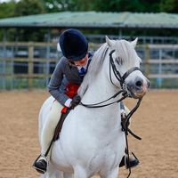 immy_698