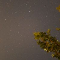 0_mihai_1