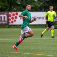 gronbergsami