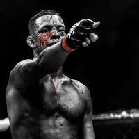 knockoutcount