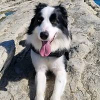 TikTok Account - https://p16-pu-no.tiktokcdn-eu.com/tos-no1a-avt-0068c001-no/e44f5e3c55fcc3db428827e24135fbef~tplv-tiktokx-cropcenter-q:200:200:q70.jpg