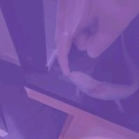 TikTok Account - https://p16-pu-no.tiktokcdn-eu.com/tos-no1a-avt-0068c001-no/e4584a84d053e0e1702696a0bd8afb01~tplv-tiktokx-cropcenter:200:200.jpeg