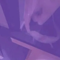 original sound - squirtmyaxolotl1