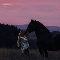 _dreamcatcher.m_