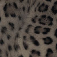 cvtxlvr.official