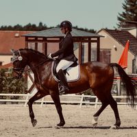 tessa.lgh