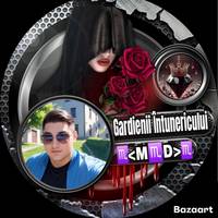 TikTok Account - https://p16-pu-no.tiktokcdn-eu.com/tos-no1a-avt-0068c001-no/e68455797233489bfd9a7bee12345685~tplv-tiktokx-cropcenter-q:200:200:q70.jpg