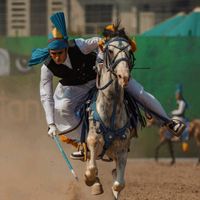 shahsawarpakistan