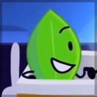 leafy_bfb_poland