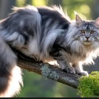 therianfurr