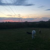 jem_and_flo