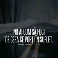 sunet original