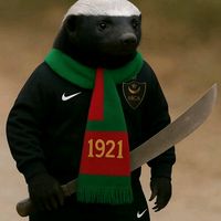 m_c_alger_1921