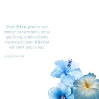 shelby_demestre