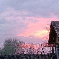 _rblx_cu_anutza