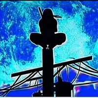 original sound - hokage.750