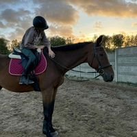 madzixx.eq