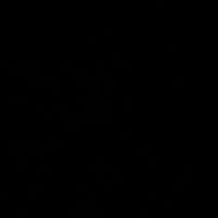 swan_psg5