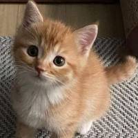 TikTok Account - https://p16-pu-no.tiktokcdn-eu.com/tos-no1a-avt-0068c001-no/ee6f4872761ec9b71cc724774a2c1161~tplv-tiktokx-cropcenter-q:200:200:q70.jpg