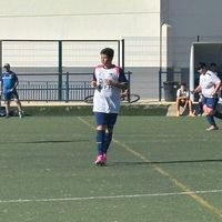 deichino_2013