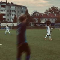 noah_5367
