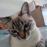 adriana_1359